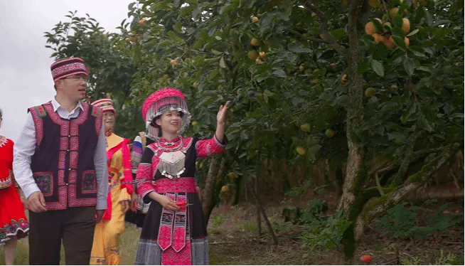 Z6·尊龙凯时「中国集团」官方网站