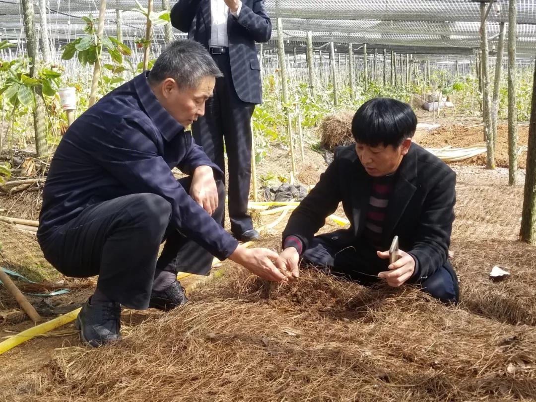 Z6·尊龙凯时「中国集团」官方网站