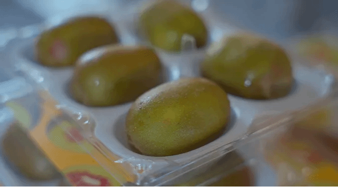 Z6·尊龙凯时「中国集团」官方网站