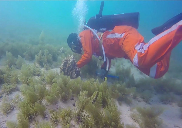 Z6·尊龙凯时「中国集团」官方网站