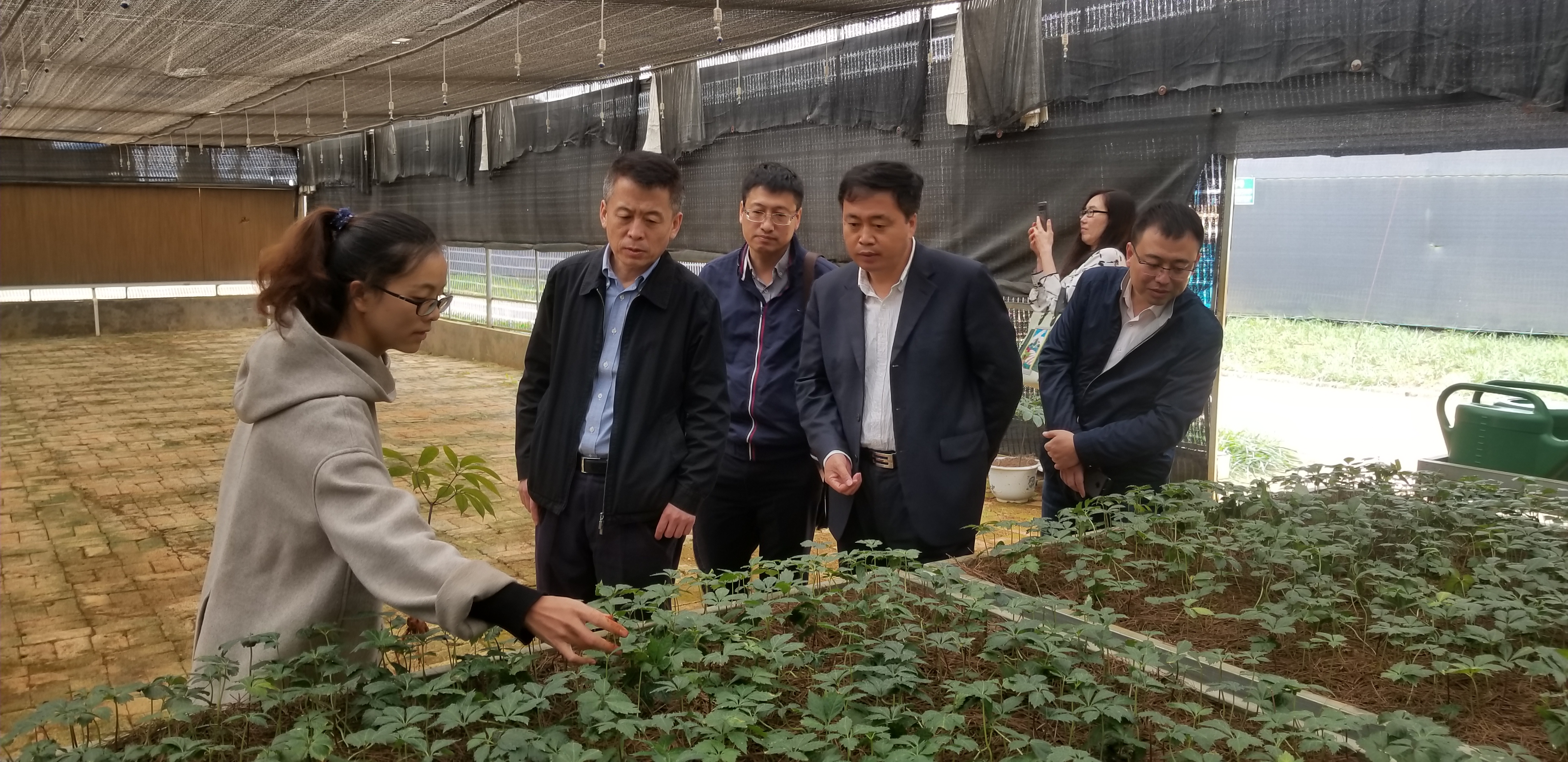 Z6·尊龙凯时「中国集团」官方网站