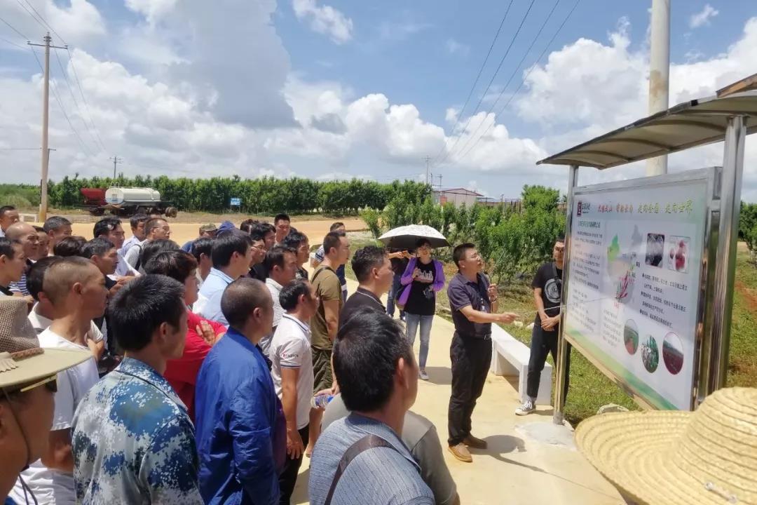 Z6·尊龙凯时「中国集团」官方网站